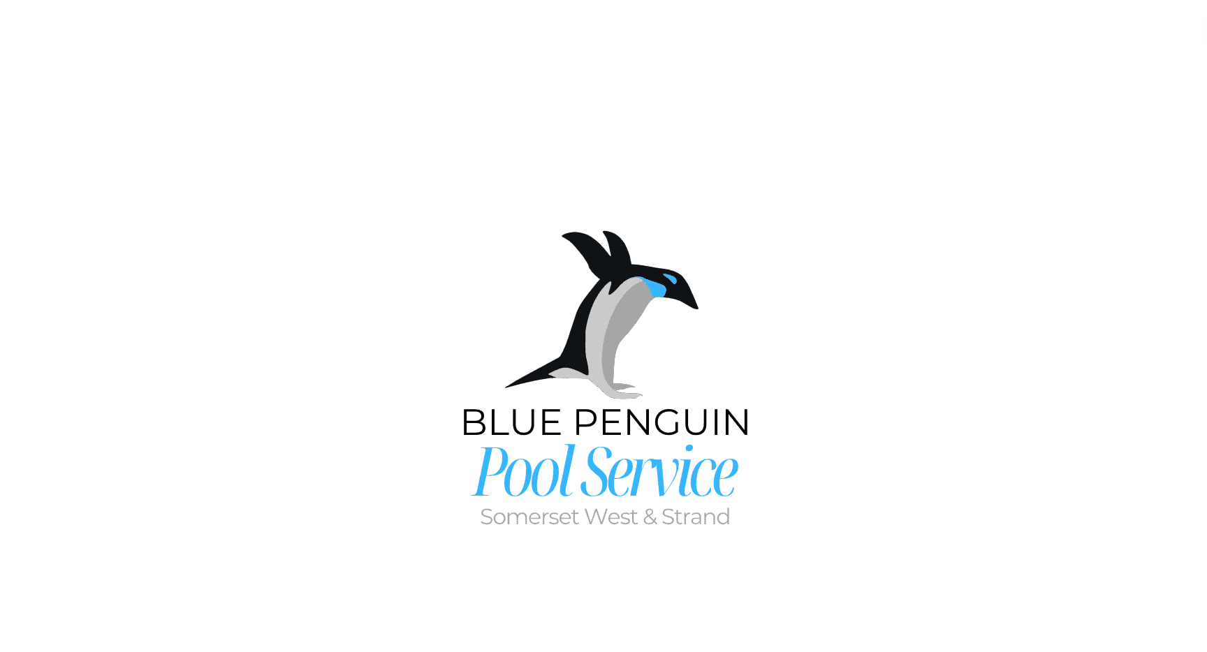 Blue Penguin Poolservice Somerset West & Strand