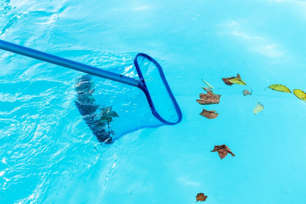 Cleaning pool collecting leafs
